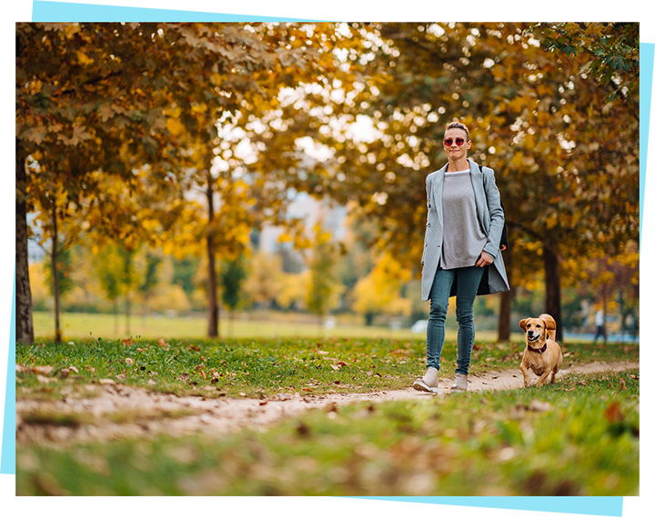 Image of person walking their dog in a green outdoor setting